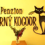 Cerny Kocour Appartement Sarovy