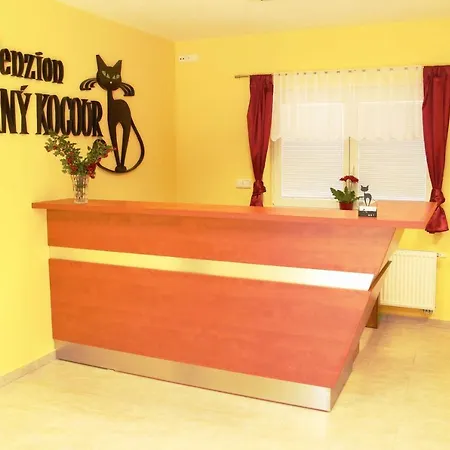 Cerny Kocour * Sarovy