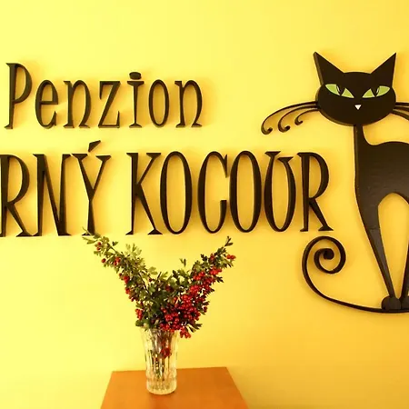 Cerny Kocour Διαμέρισμα Sarovy