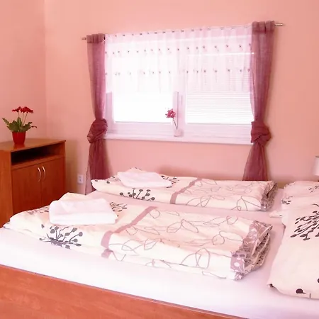 Cerny Kocour 公寓 *