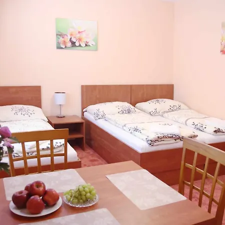 Cerny Kocour 公寓 *