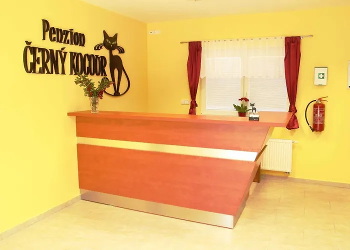 Cerny Kocour * Sarovy
