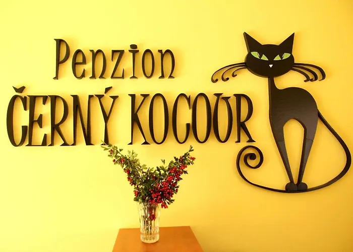 Cerny Kocour Daire Sarovy